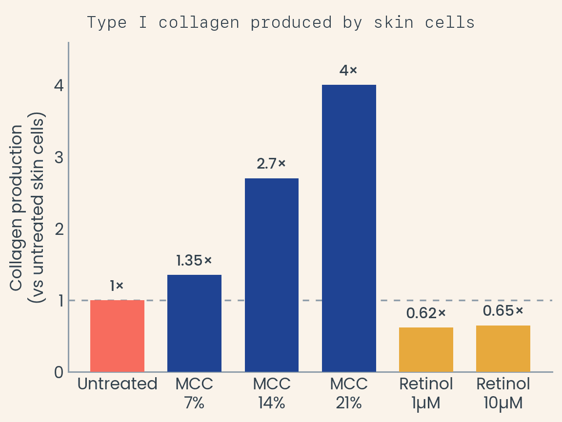 Type I collagen produced by skin cells