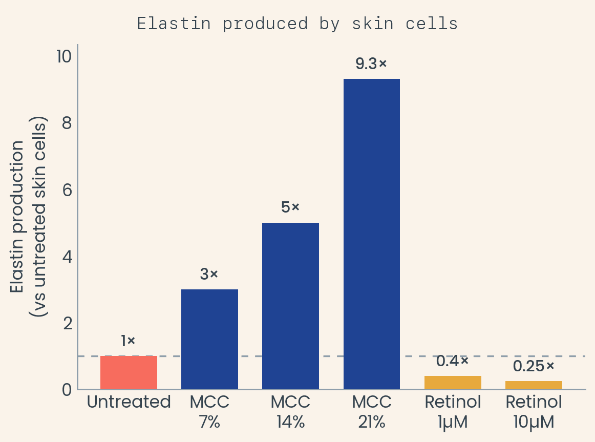 Elastin produced by skin cells