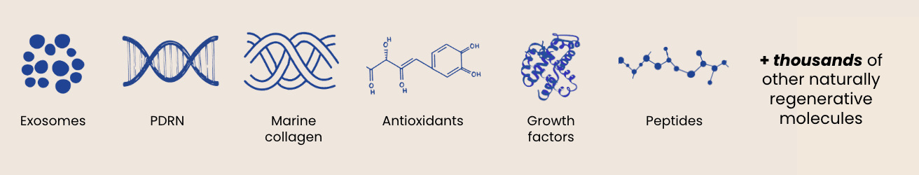MCC components: salmon PDRN, growth factors, marine collagen, peptides, exosomes, antioxidants and thousands of other molecules